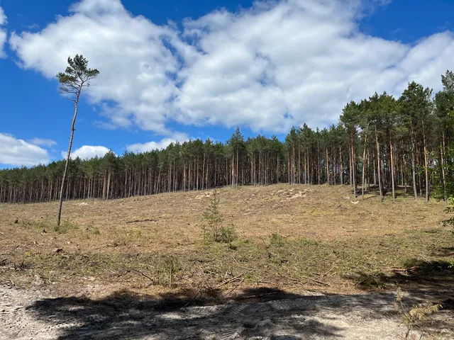 WZGÓRZA PIASTOWSKIE