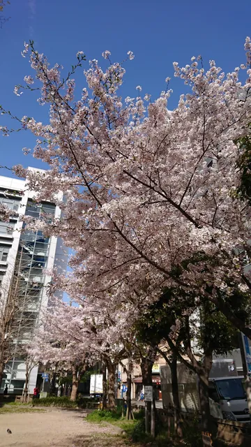Toyosaki Minami Park