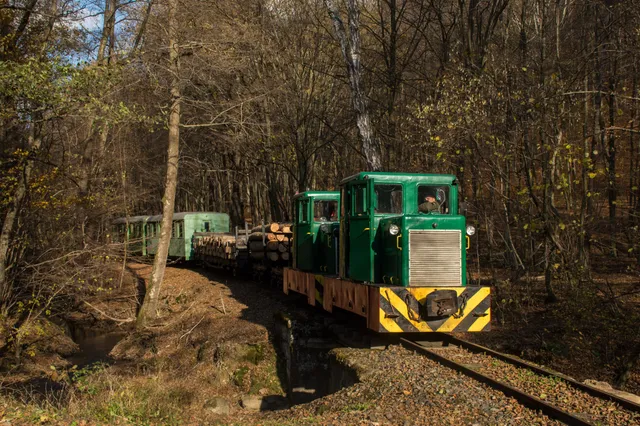 Pálházi State Forest Railway