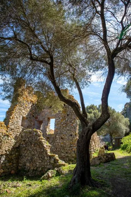 Domo Andesitico di Acquafredda