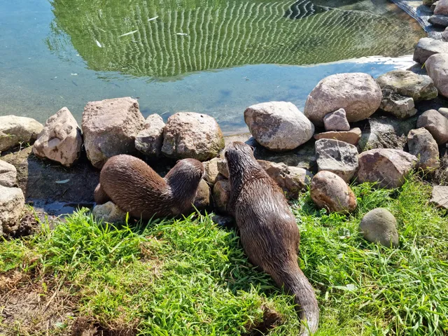 Tiererlebnispark Müritz