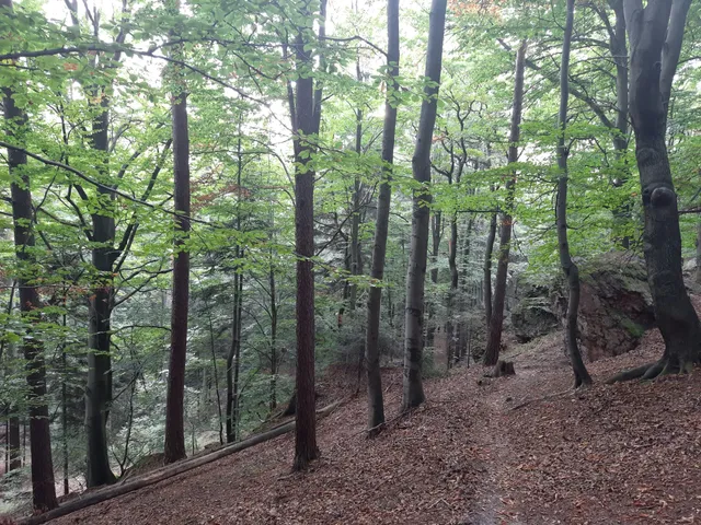photo-1