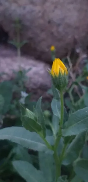 Malheur National Wildlife Refuge Visitor Center