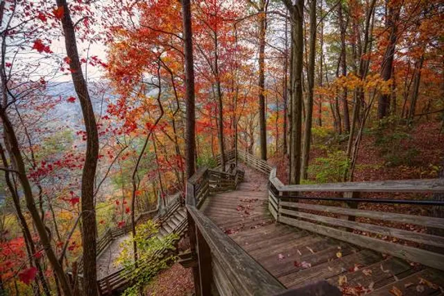 Sessions Woods Wildlife Management