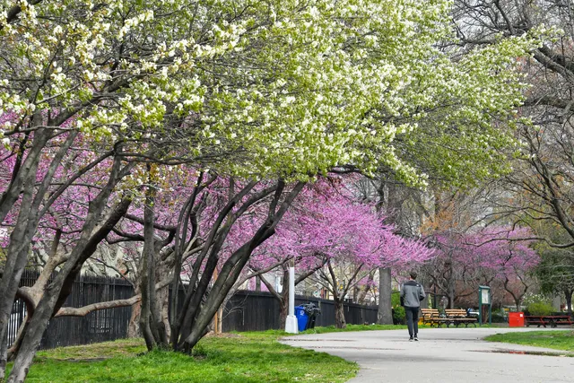 McCarren Park