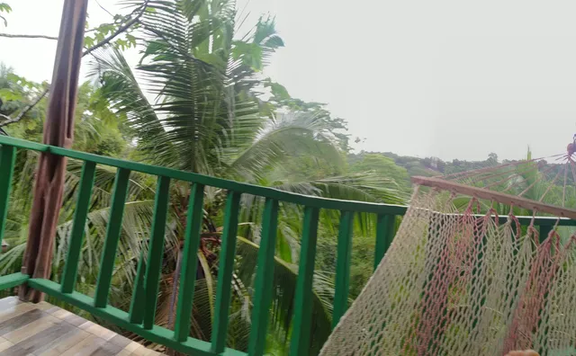 Allegra Hostel Drake Bay