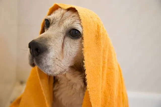 Anitouch Minato Mirai