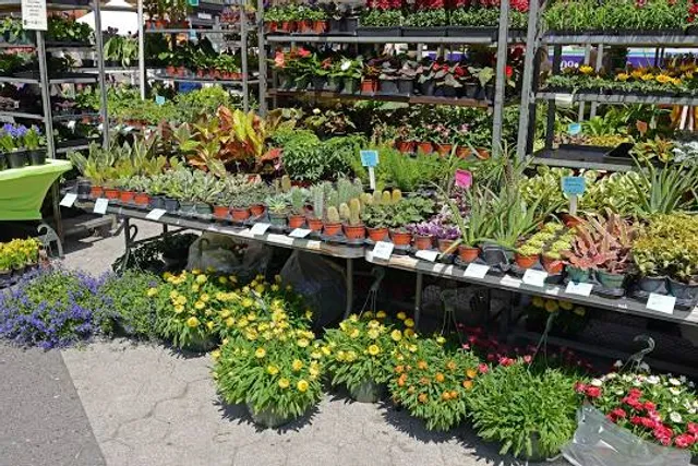 Union Square Greenmarket