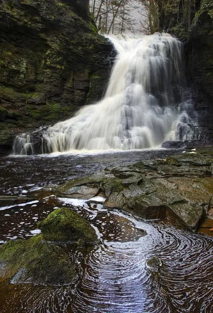 Start of 3 mile round walk to Hareshaw Linn