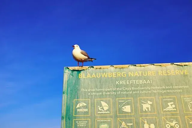 Blaauwberg Nature Reserve