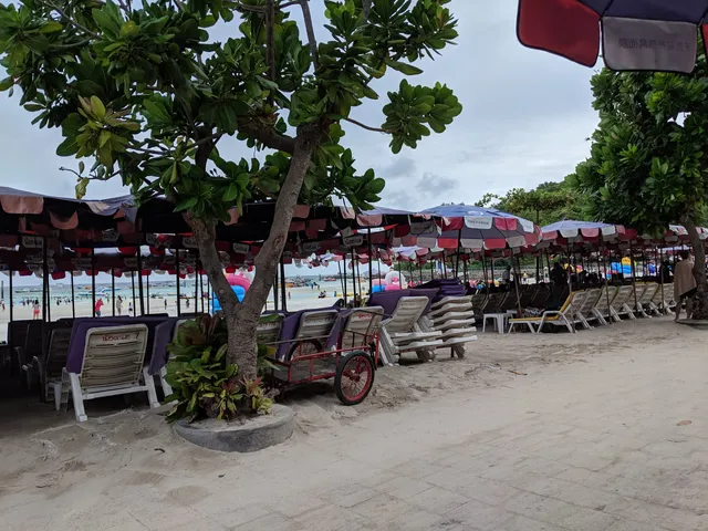 Bãi biển đảo Coral, Pattaya