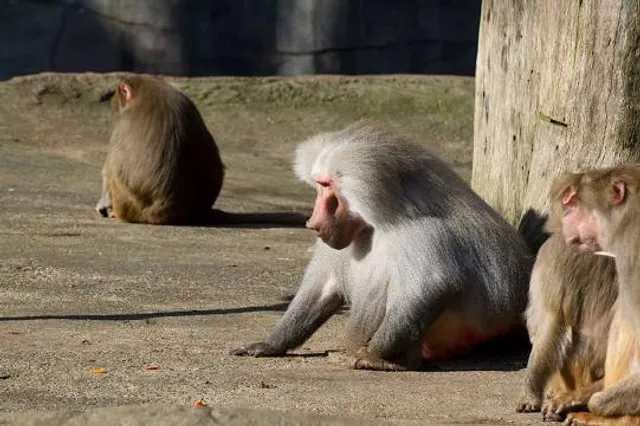 Tierpark Hagenbeck