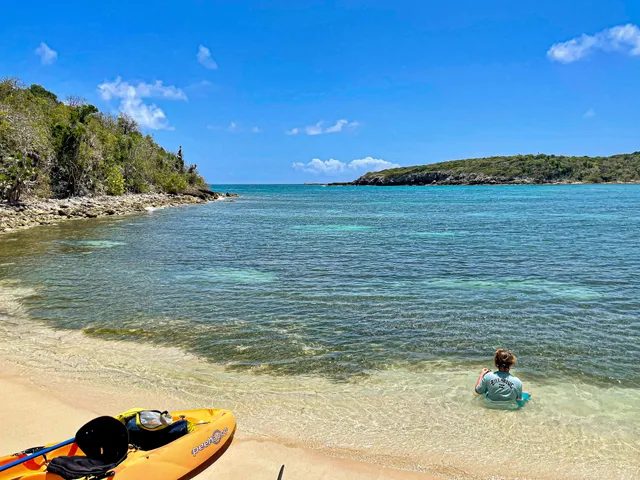 Jak Water Sports Bioluminescent Bay Tour & Rental
