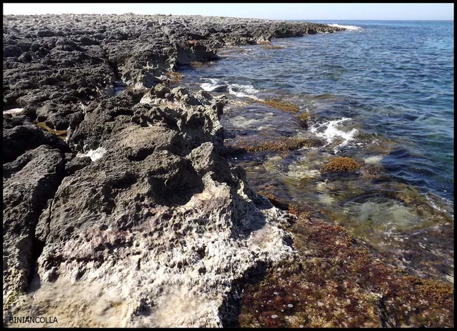 photo-1