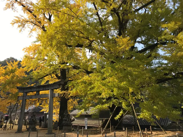 Iwabu-hachiman Shrine