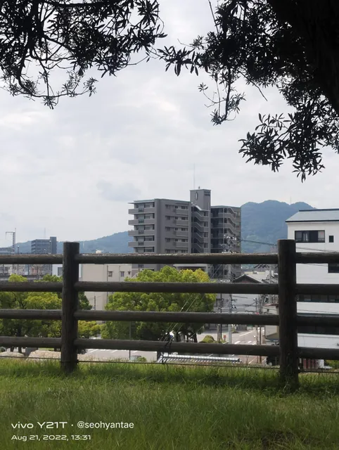photo-1