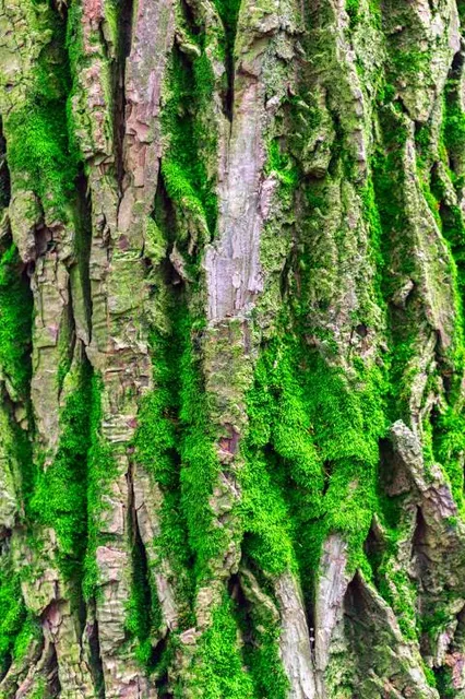 Lookout on Blatensky hill