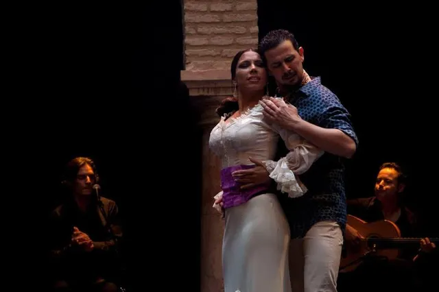 Flamenco Dance Museum