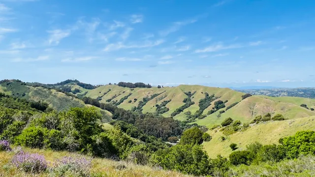 Sibley Volcanic Regional Preserve