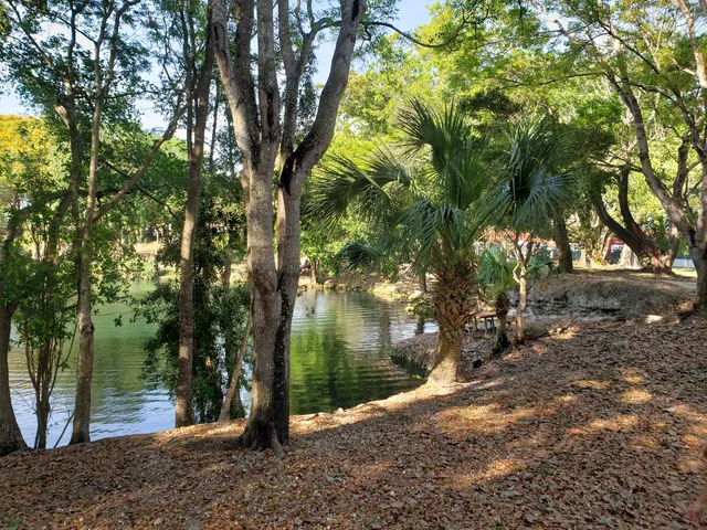 Perrine Wayside water Dog Park