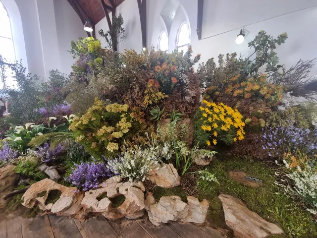Clanwilliam Flower Show