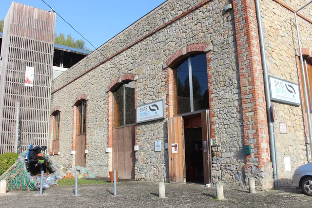 Sintra Science Workshop