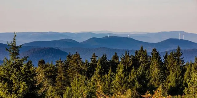 Nationalpark Schwarzwald
