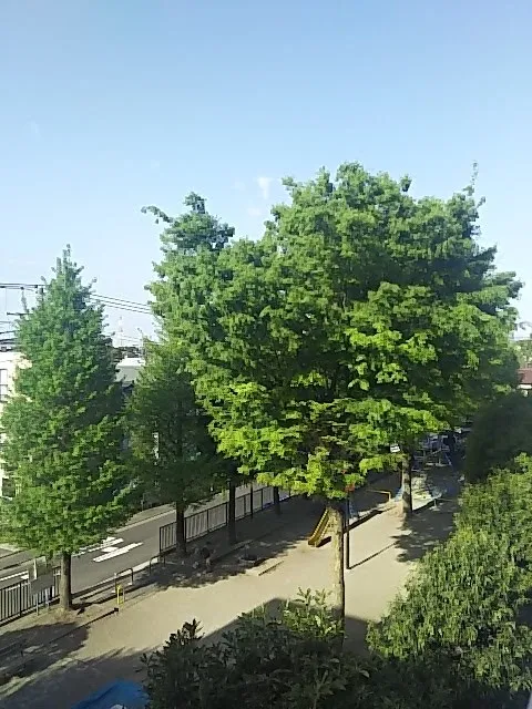 Minamikase Egawa Park