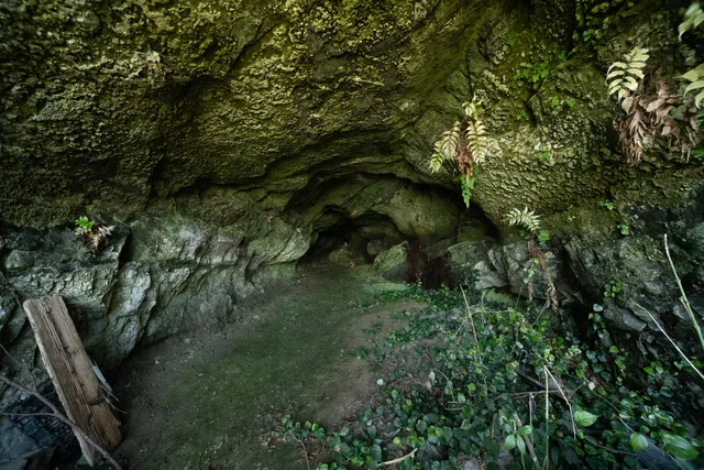 Bishamon Cave Dwelling Cluster
