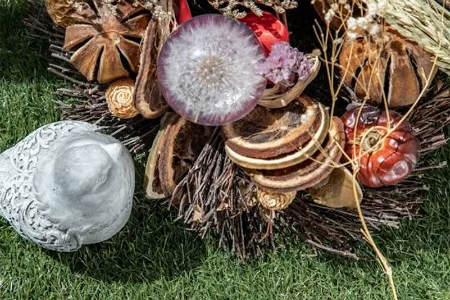 Pettitts Animal Adventure Park