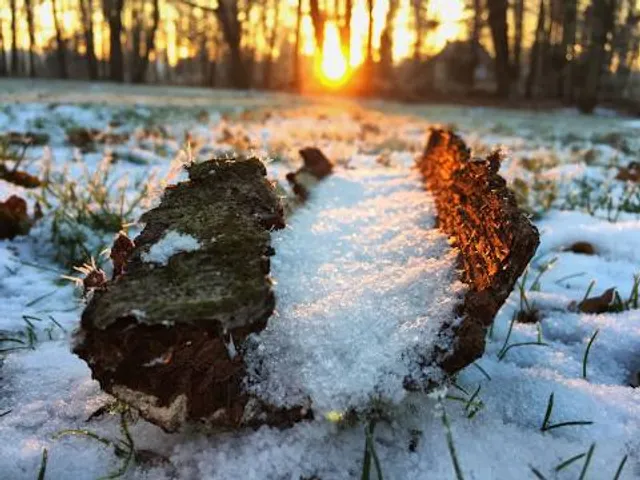 Stadtpark und Botanischer Garten Gütersloh