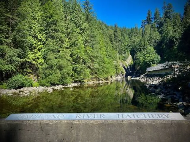 Capilano River Hatchery