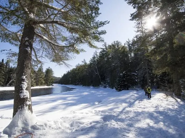 The Canadian Ecology Centre