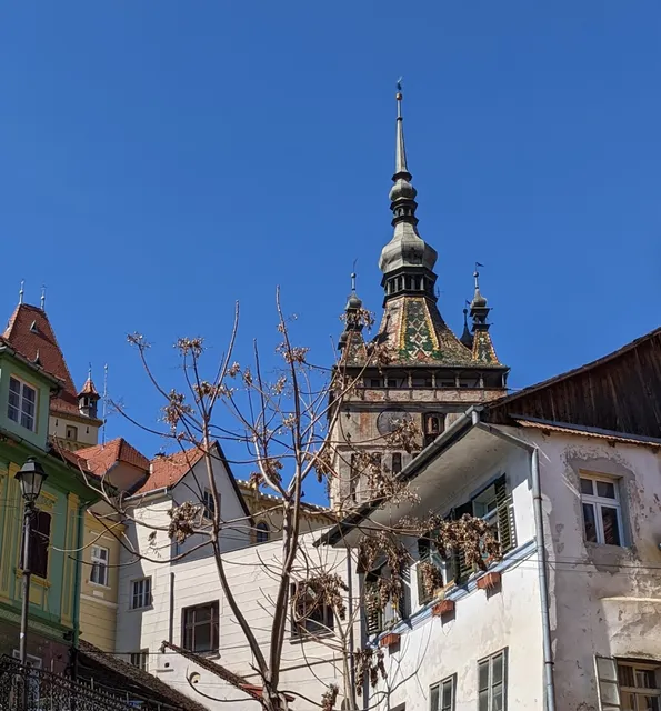 Sighișoara