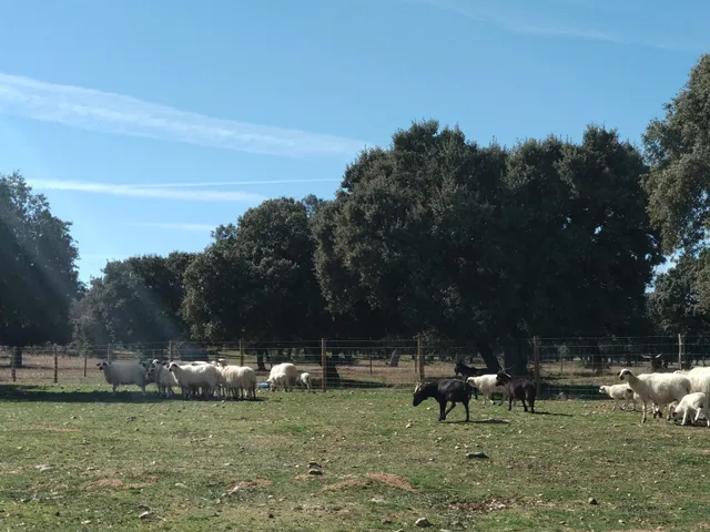 San Pelayo de Guareña