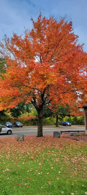 Great Brook Valley Market