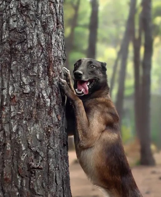 Park Karola Ferdynanda Wazy