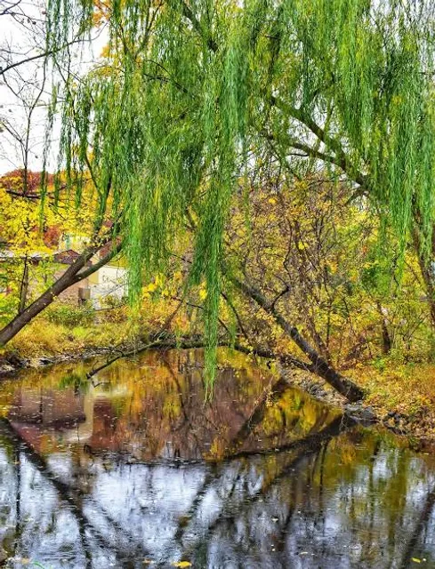Black Hawk State Park