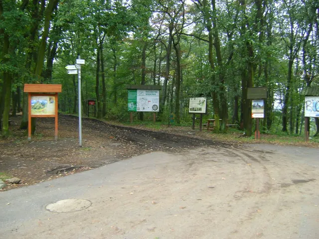 Przełęcz Pod Wieżycą