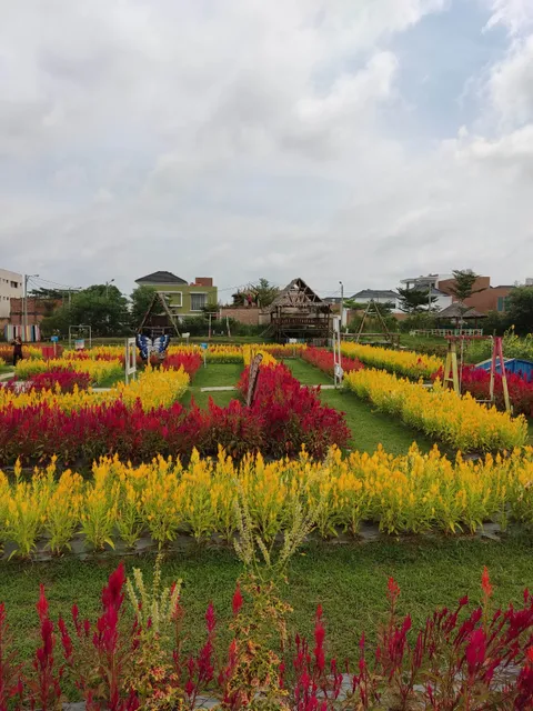 Taman Bunga Celosia Springhill
