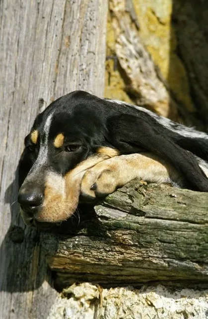Museo Rodolfo Valentino