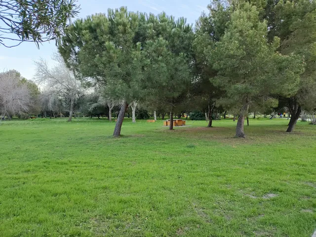 Torrejón Park