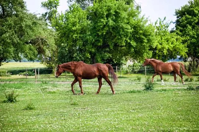 Paseo de la Ría de Avilés