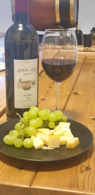 Vineyard Winery Muscat