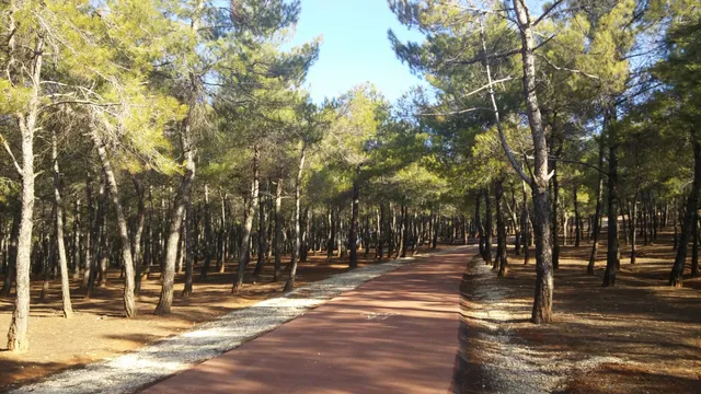 Burc Nature Park