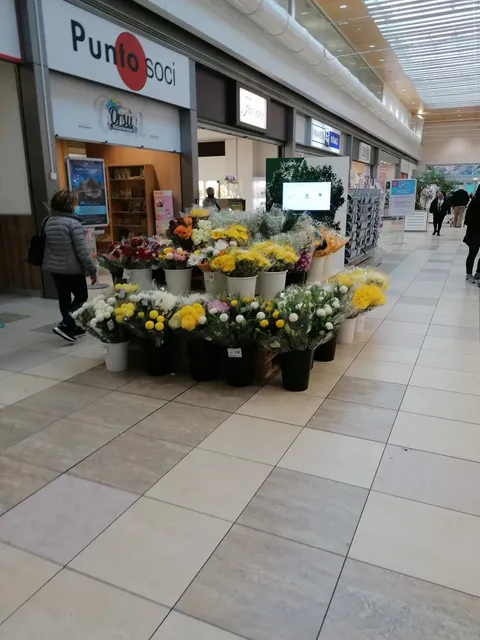 Centro Commerciale Carlo del Prete