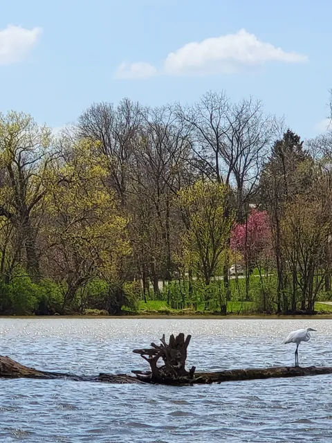 O'Shaughnessy Nature Preserve