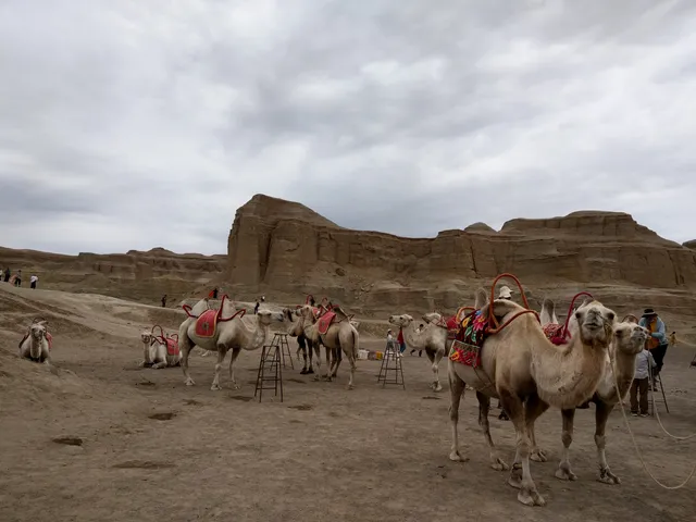 Wo Huzanglong Paishedi