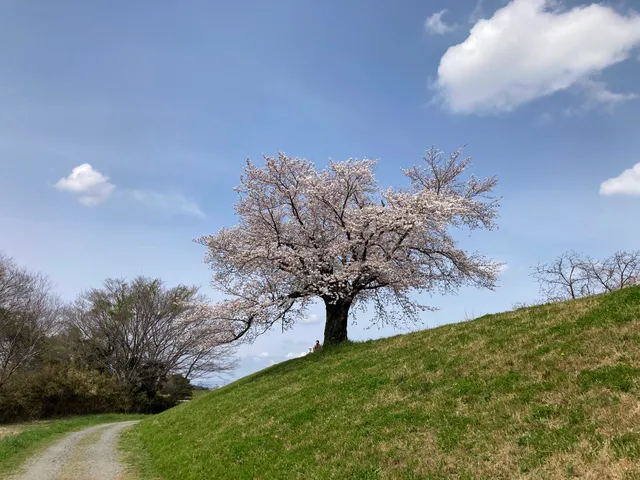 Sakaigawaryokudo Park