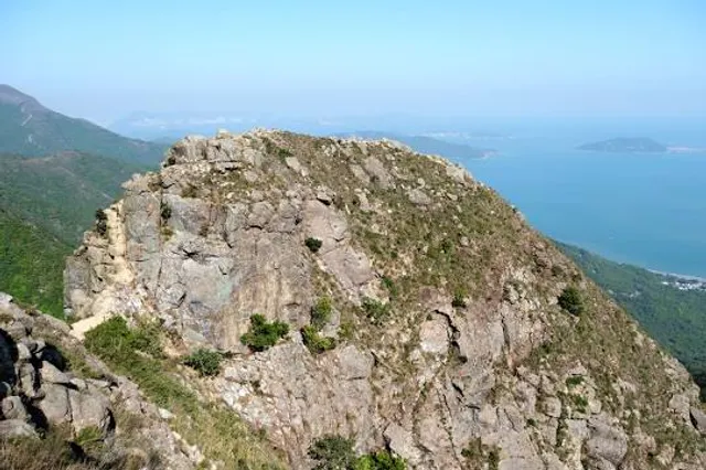 photo-1